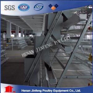 a Type Chicken Layer Battery Cage Poultry Equipment