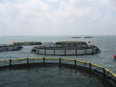 Anti-Wind Anti-Wave Deep Sea HDPE Floating Fish Cage