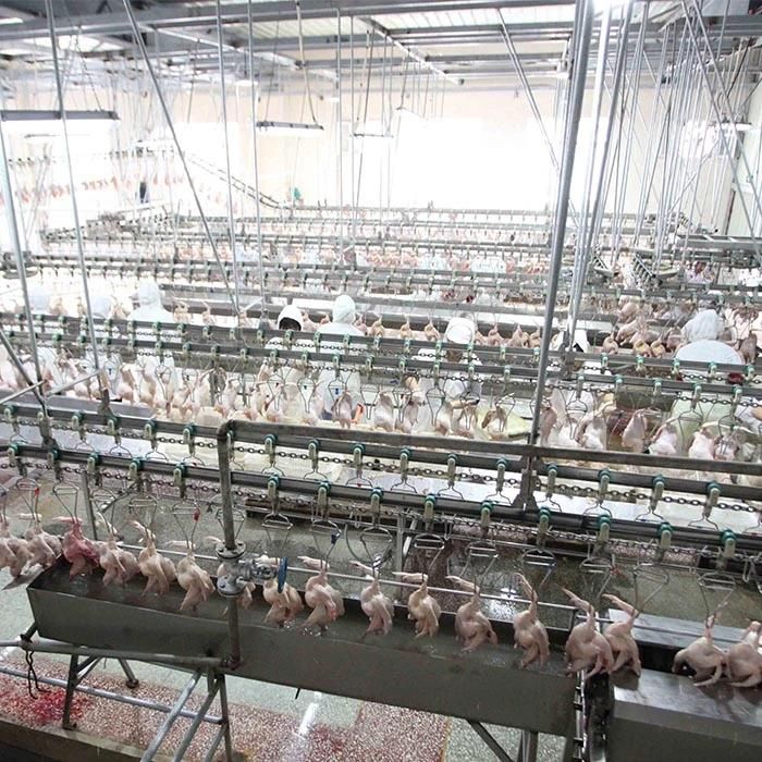 Chain of Slaughtering Poultry Plant for Poultry Processing Line and Plant