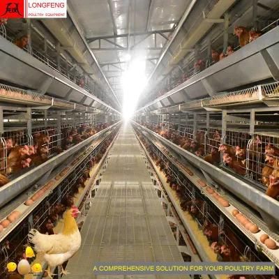 Longfeng China Equipment Feeding Livestock Machinery Layer Battery Poultry Farm Chicken Cage