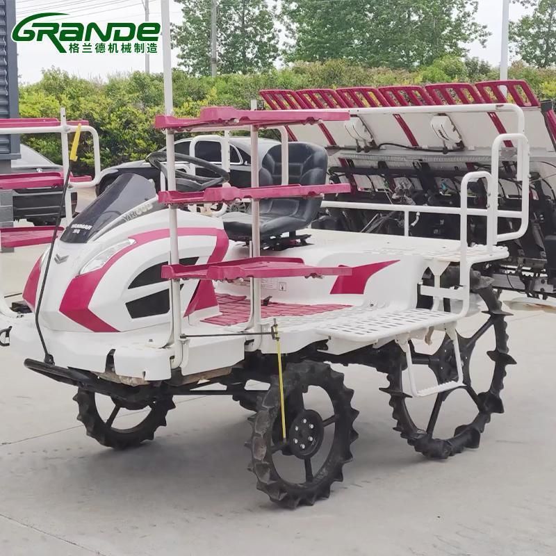 2019 Manufatured Used Yr60d Rice Transplanter with Cheap Price