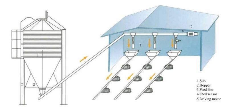 Automatic Poultry Equipment for Broilers Feeding and Drinking System Chicken House Equipment, Poultry for Broilers and Breeder