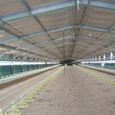 Long Time Usage Prefab High Output Steel Poultry Chicken Shed