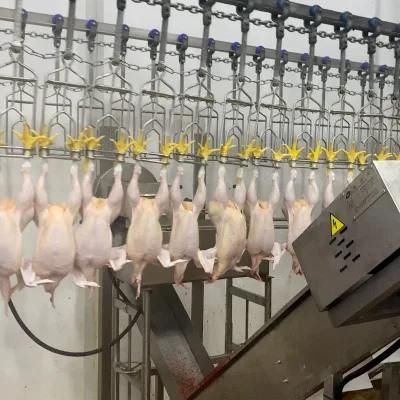 High Quality Full Stainless Steel 304 Broiler Farm Automatic Poultry Slaughtering House Processing Line Equipment
