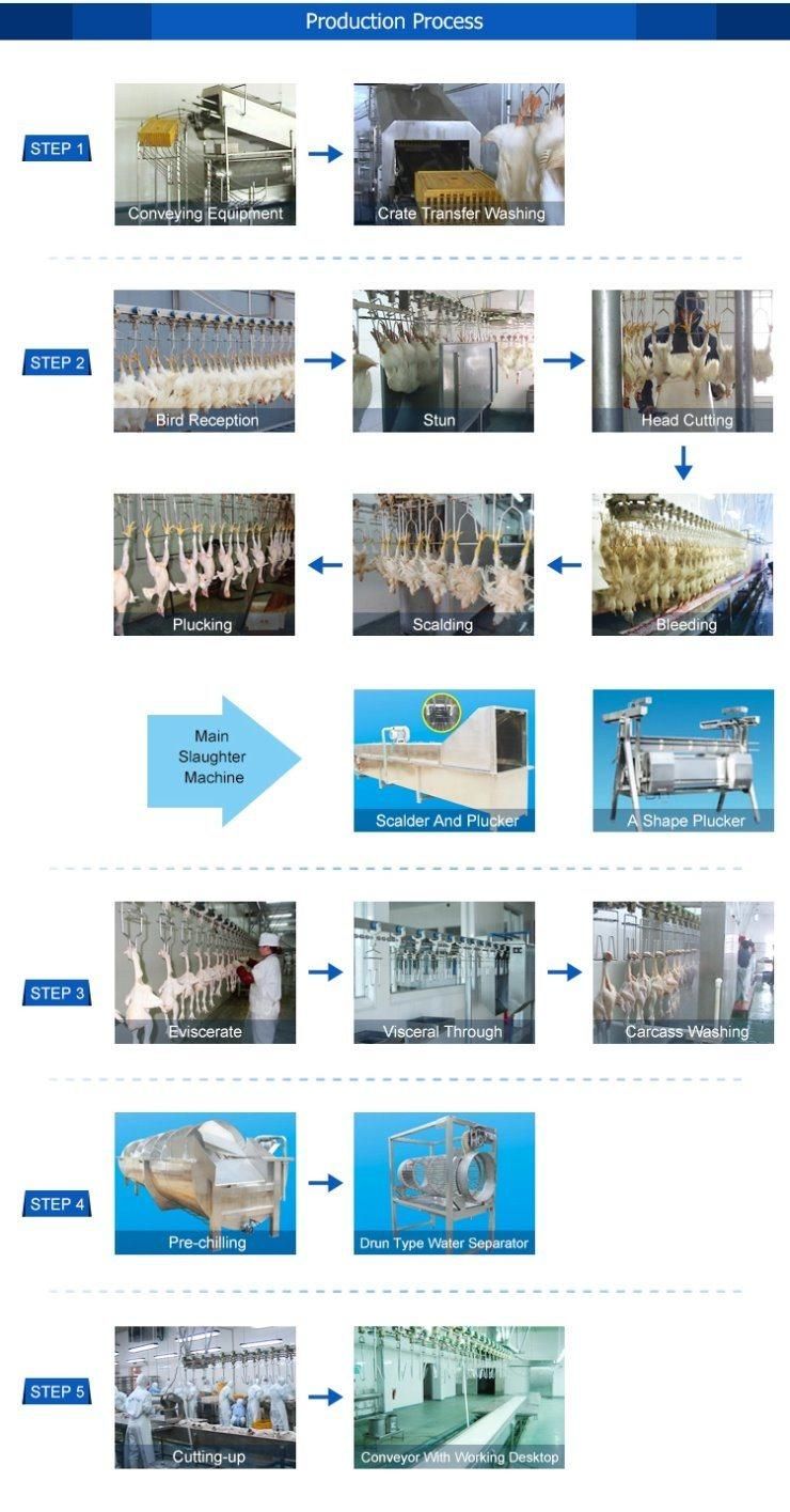 1000 Per Day Chicken Slaughter House for Meat Segmentation and The Packaging