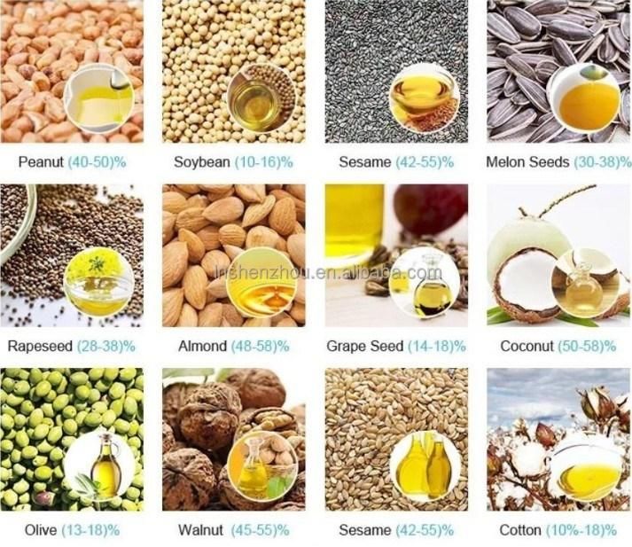 Business Equipment Nuts Seeds Oil Pressing Making Machine Automatic Hydraulic Cold Oil Extractor Sunflower Seeds Coconut Oil Expeller Extraction