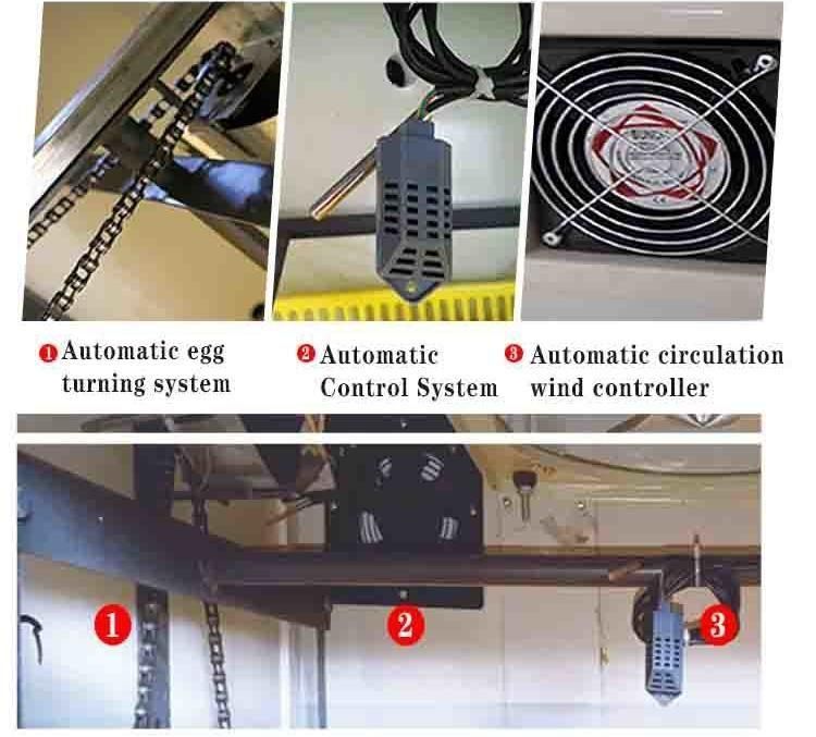 Full Automatic Chicken Incubator Hatching Eggs Solar Energy Egg Incubator
