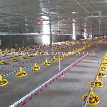 Automatic Chicken Feeding System Equipment for Poultry Farm