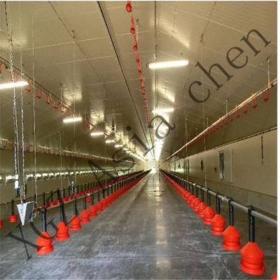 Various Types of Broiler Equipment