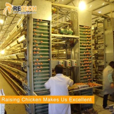 Modern poultry farming equipment layer chicken battery cages for sale