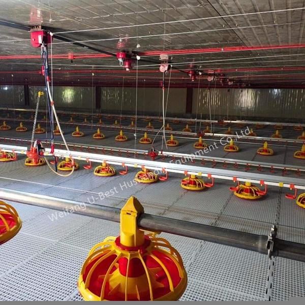 Broiler Chicken Floor Feeding System/Feeder Pan System