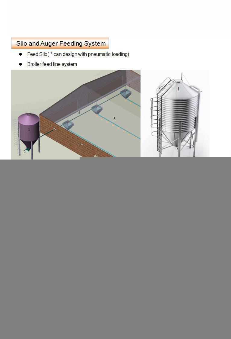 Special Transfer Basket for Chickens