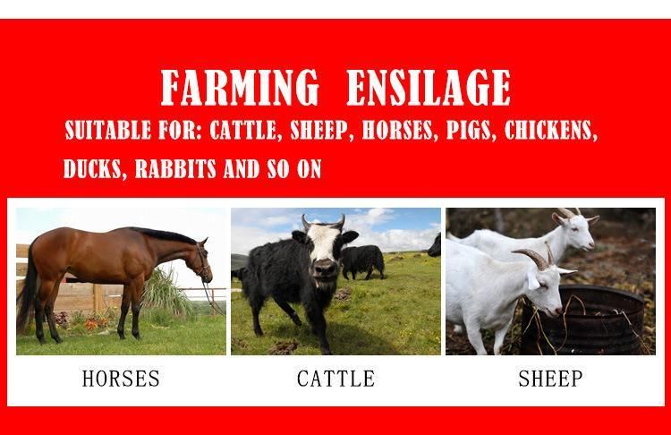 Hot Sale Price Mini Chaff Cutter Feed Animal for Stock Raising Farm Machine