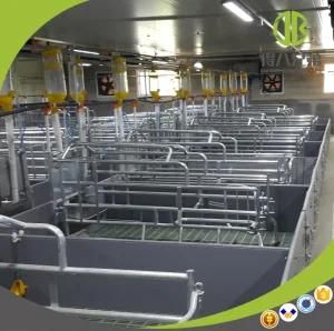 Pig Farm Equipment 80um Galvanized Farrowing Crate for Sow