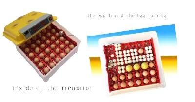 CE Certificate Commercial 36 Eggs High Quality Automatic Egg Incubator