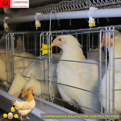 on-Site Installation Instruction Local After-Sale Service in Asia Chicken Cage Poultry Equipment