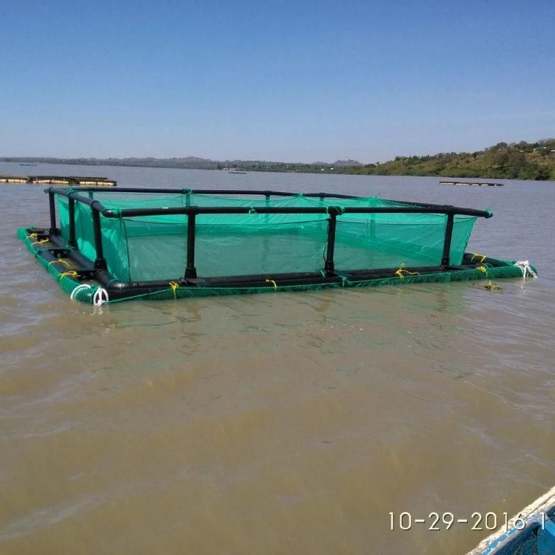 Outdoor Fish Tanks System Floatinig Fish Net Cage for Tilapia
