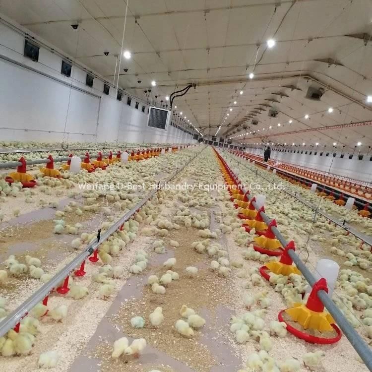Imported Design Nipple Drinking Line for Broiler Chicken Farm