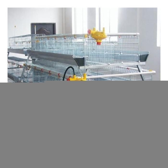 Farming Chicken Breeding Cage a Type Layer Egg Chicken Battery Cages Chicken Cage for Sale