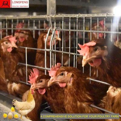 Automatic Chicken Farming Equipment Local After-Sale Service in Asia Poultry Farms Wire Mesh Cage