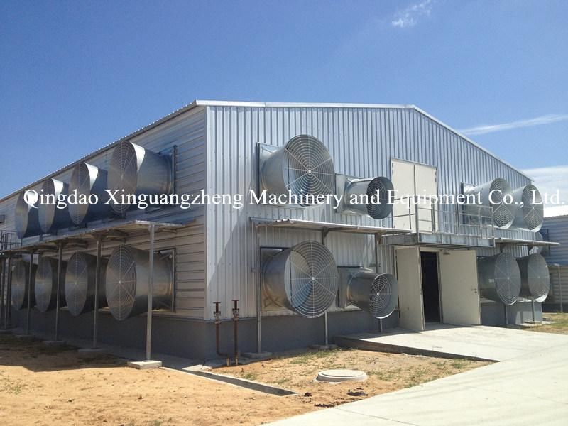 Steel Structure Prefab Hen Chicken House and Equipment System