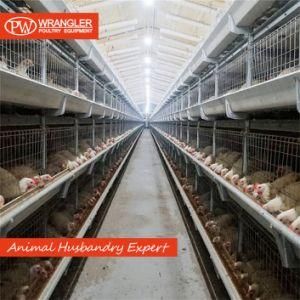 Broiler Chicken H Type Layer Pullet Chicken Battery Cage System&#160;
