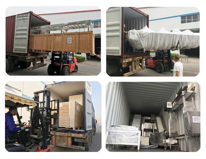 500bph Halal Poultry Butcher Processing Conveyor Line for Broilers