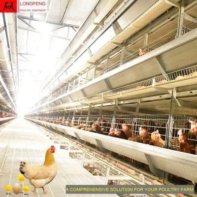 Automatic Farming Equipment Local After-Sale Service in Asia Chicken Cage Poultry Farms