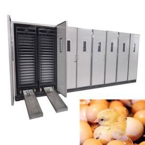 Best Price 5280PCS Automatic Chicken Egg Incubator/Egg Hatcher