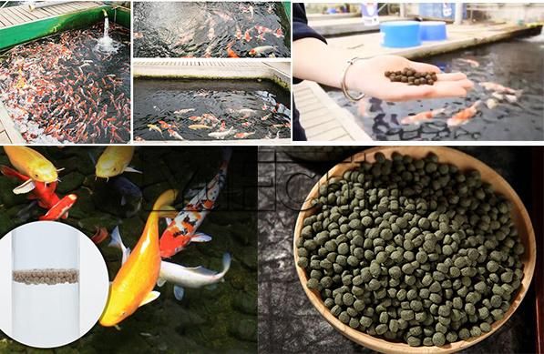 Fish Farming Fish Feed Pellet Making Machine