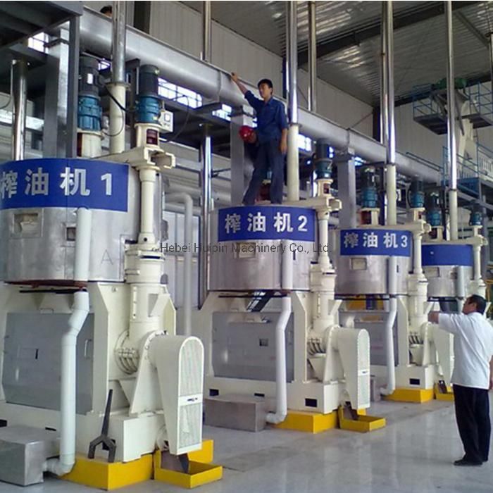 Hemp Cotton Seed Pepper Seed Oil Extraction Processing Machine