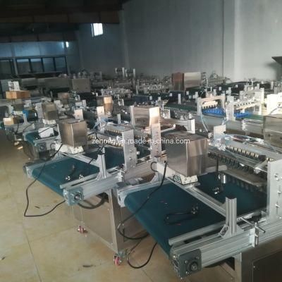 Automatic Seed Sowing Machine Vegetable Nursery Seedling Machine