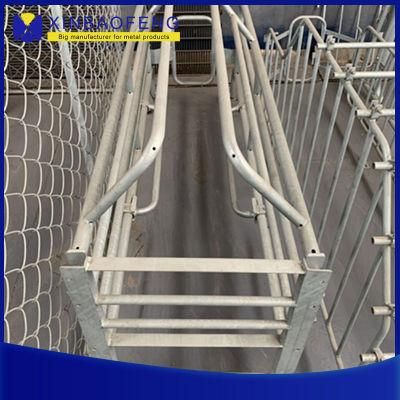 Hot-DIP Galvanized Pig Farrowing Box/Pig Gestation Crate