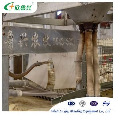 Automatic Farm Construction Automatic Manure Removal System for Sale