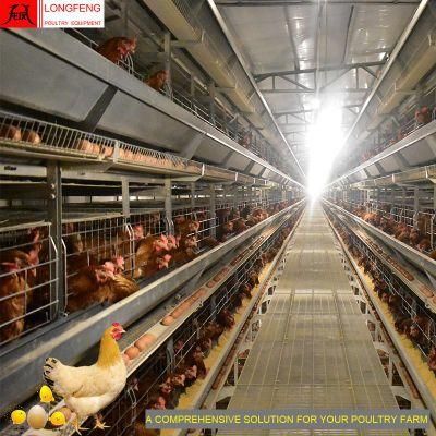 Automatic Farming Equipment Longfeng China Layer Battery Cages Poultry Farm Chicken Cage