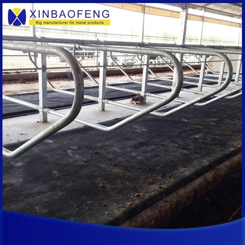 New Design Factory Price High Quality Hot Galvanized Standard Dairy Cow Free Stall for Sale