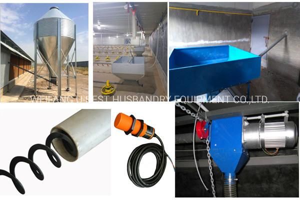 Complete Automatic Poultry Chicken House Equipment for Broiler Farming System