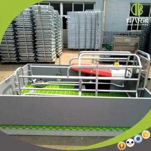 Classic Farrowing Crate European Style with Good Quality