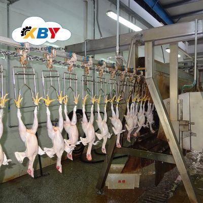 Farming Chicken Plucking Machine for Slaughtering Line