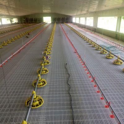 Good Usage High Output Steel Structure Poultry House with Self-Equipment