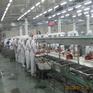 Living Sheep Goat Slaughtering Abattoir Equipment of V-Shape Sheep Conveyor/Conveying Machine