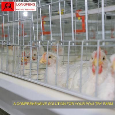 Adapted to All Climatic Conditions Solar Egg Incubator Broiler Chicken Cage