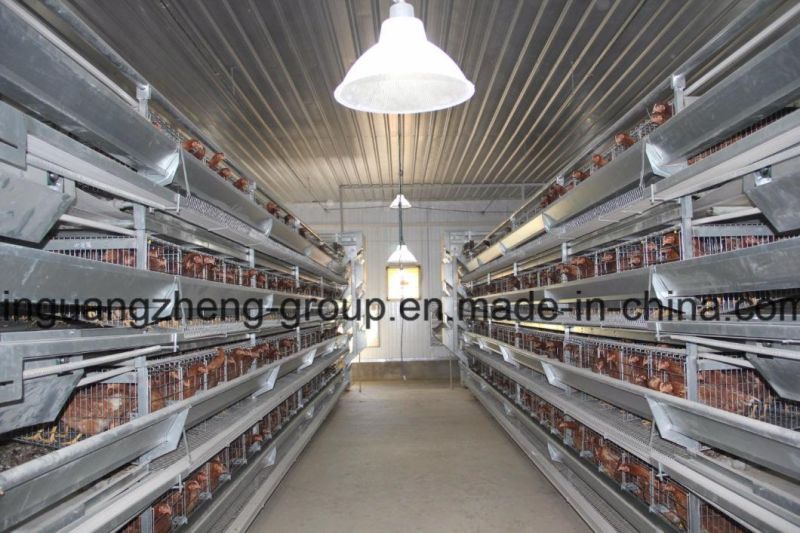 Prefabricated Steel Structure House and Equipment for Broiler & Layer of Polutry Shed (BYPH-002)