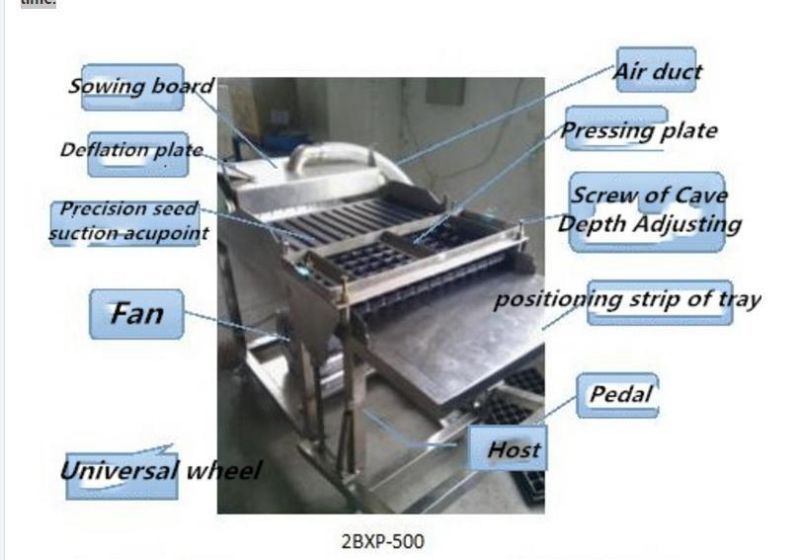 Semi-Automatic Press Hole Tray Eggplant Seeding Line