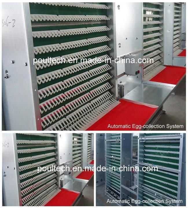 Galvanized Poultry Farm Cage for Egg Laying Chicken
