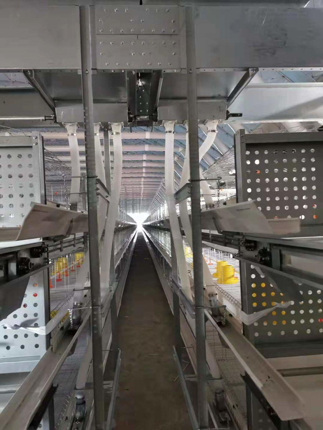 Broilerfactory Poultry Equipment Galvanized Cage H Type Cage
