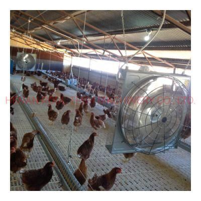 Fast Transaction and The Lowest Price Chicken Equipment