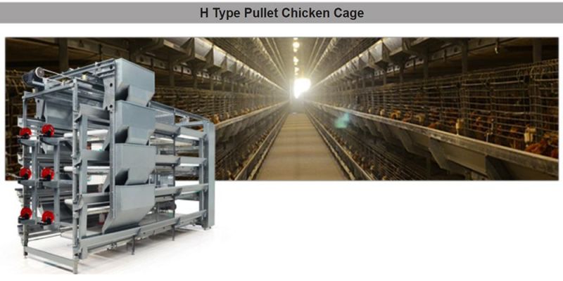 Manufacturing Cage System Used in Laying Chicken Farm Poultry Cage Battery Hen Bird Cage Design