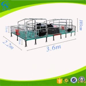 Hot Galvanized Sow Pen Automatic Feeding System Farrowing Crate