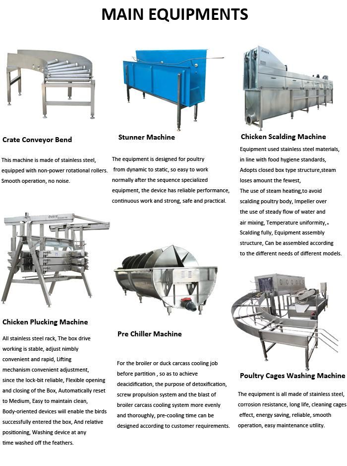 1000bph Halal Abattoir Equipment Slaughtering Line Small Chicken Slaughter Machine for Broiler Chicken